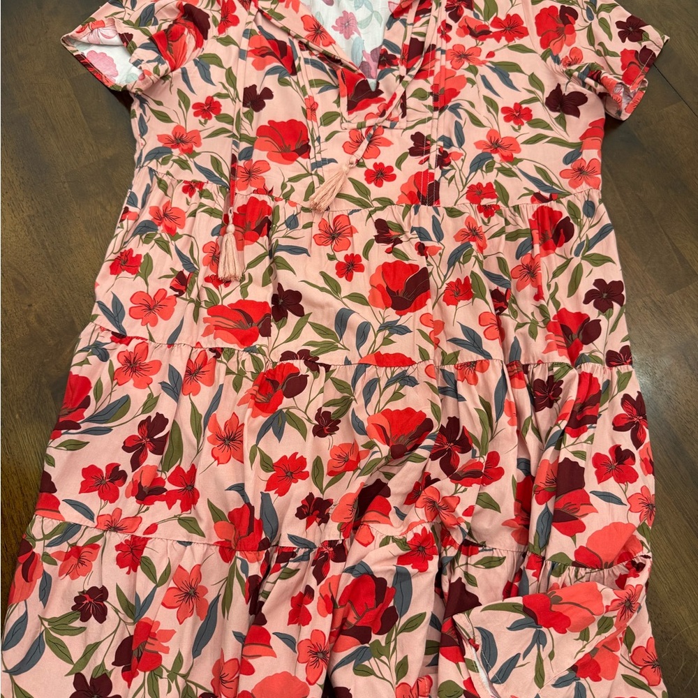 Floral Pink and Red Dress